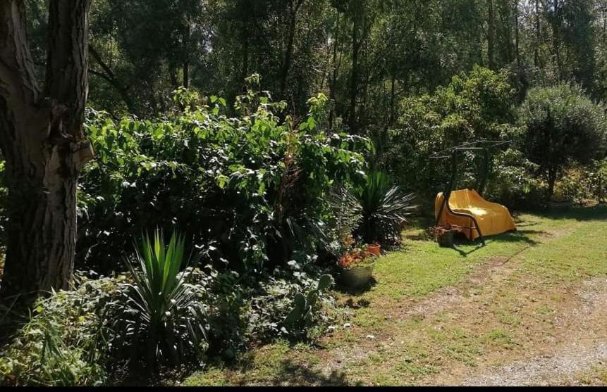 Casa Pole Bed & Breakfast Bagnolo San Vito Exterior photo